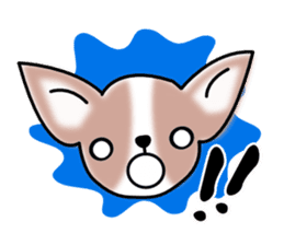 Talkative Smooth Coat Chihuahua sticker #885196