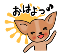 Talkative Smooth Coat Chihuahua sticker #885197