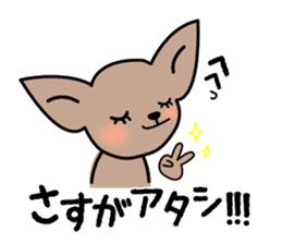 Talkative Smooth Coat Chihuahua sticker #885198