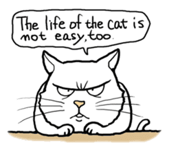 Happy cat English sticker #886120