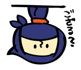 ninja's every day sticker #887003