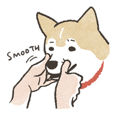 สติ๊กเกอร์ไลน์ Shiba Inu (Shiba-Dog) stickers