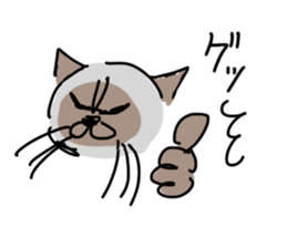 I AM BUNNOSHIN DA HOUSE CAT sticker #889360