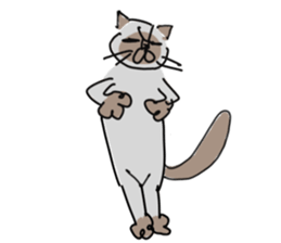 I AM BUNNOSHIN DA HOUSE CAT sticker #889362