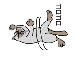 I AM BUNNOSHIN DA HOUSE CAT sticker #889364