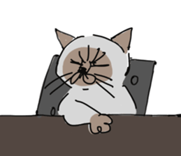 I AM BUNNOSHIN DA HOUSE CAT sticker #889366