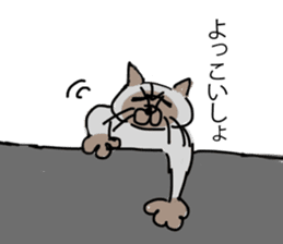 I AM BUNNOSHIN DA HOUSE CAT sticker #889368