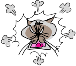 I AM BUNNOSHIN DA HOUSE CAT sticker #889369