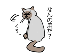 I AM BUNNOSHIN DA HOUSE CAT sticker #889370