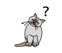 I AM BUNNOSHIN DA HOUSE CAT sticker #889372