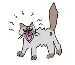 I AM BUNNOSHIN DA HOUSE CAT sticker #889373