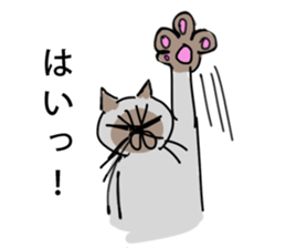 I AM BUNNOSHIN DA HOUSE CAT sticker #889374