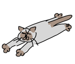 I AM BUNNOSHIN DA HOUSE CAT sticker #889375