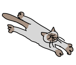 I AM BUNNOSHIN DA HOUSE CAT sticker #889376