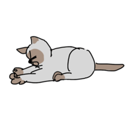 I AM BUNNOSHIN DA HOUSE CAT sticker #889380