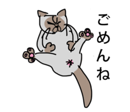 I AM BUNNOSHIN DA HOUSE CAT sticker #889381