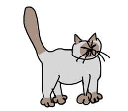 I AM BUNNOSHIN DA HOUSE CAT sticker #889382