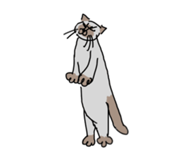 I AM BUNNOSHIN DA HOUSE CAT sticker #889383