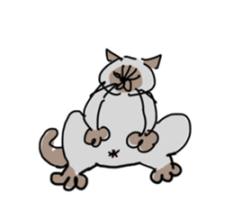 I AM BUNNOSHIN DA HOUSE CAT sticker #889386