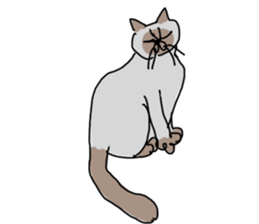 I AM BUNNOSHIN DA HOUSE CAT sticker #889388