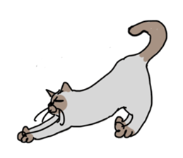 I AM BUNNOSHIN DA HOUSE CAT sticker #889389