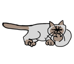 I AM BUNNOSHIN DA HOUSE CAT sticker #889390