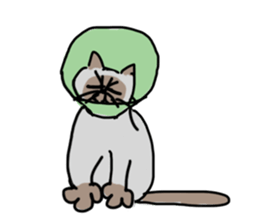 I AM BUNNOSHIN DA HOUSE CAT sticker #889391