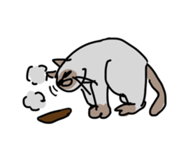 I AM BUNNOSHIN DA HOUSE CAT sticker #889394