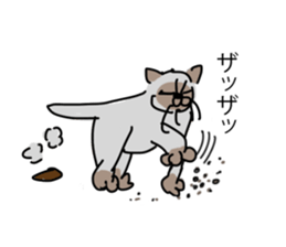 I AM BUNNOSHIN DA HOUSE CAT sticker #889396