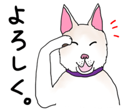 A white dog, KUNIO sticker #892682