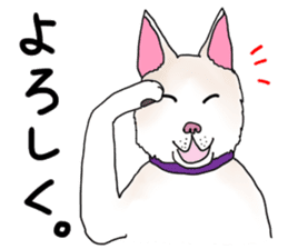 A white dog, KUNIO sticker #892682