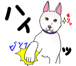 A white dog, KUNIO sticker #892683