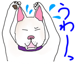 A white dog, KUNIO sticker #892684