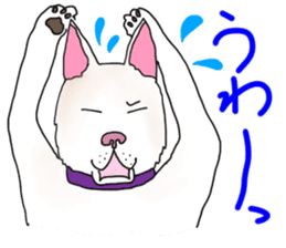 A white dog, KUNIO sticker #892684