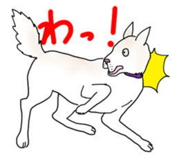 A white dog, KUNIO sticker #892687