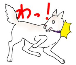 A white dog, KUNIO sticker #892687