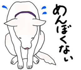 A white dog, KUNIO sticker #892689