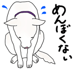 A white dog, KUNIO sticker #892689