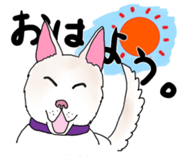 A white dog, KUNIO sticker #892691