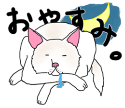 A white dog, KUNIO sticker #892692