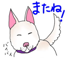 A white dog, KUNIO sticker #892693
