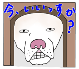 A white dog, KUNIO sticker #892694