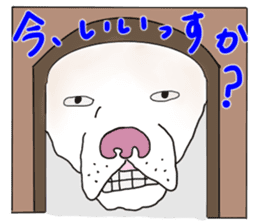 A white dog, KUNIO sticker #892694