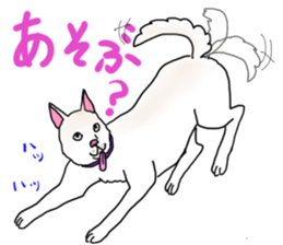 A white dog, KUNIO sticker #892695
