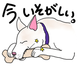 A white dog, KUNIO sticker #892696