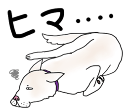 A white dog, KUNIO sticker #892697