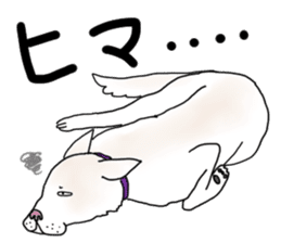 A white dog, KUNIO sticker #892697