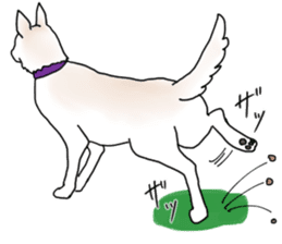 A white dog, KUNIO sticker #892699