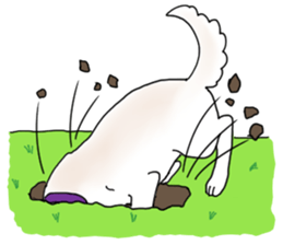 A white dog, KUNIO sticker #892700
