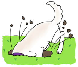A white dog, KUNIO sticker #892700